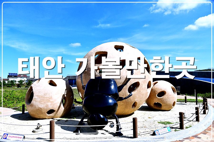 태안 아이와 가볼만한곳 신두리해수욕장 해안사구 몽산포해수욕장 오토캠핑장