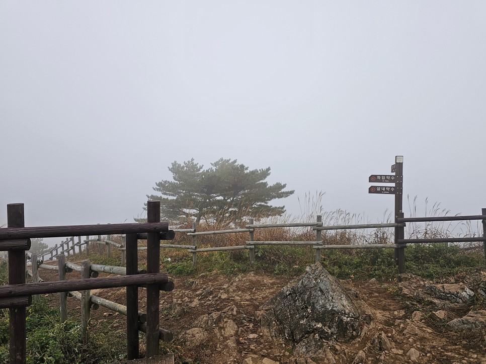 민둥산 최단 등산 가을 산행 3km 걷기 후기 초보 등산 코스 추천