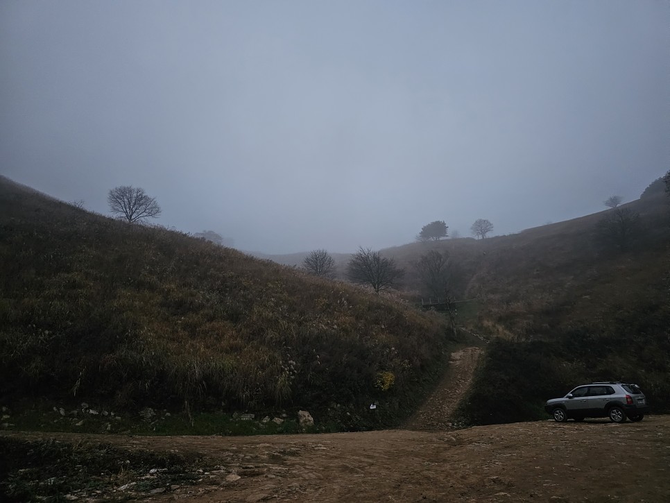 민둥산 최단 등산 가을 산행 3km 걷기 후기 초보 등산 코스 추천