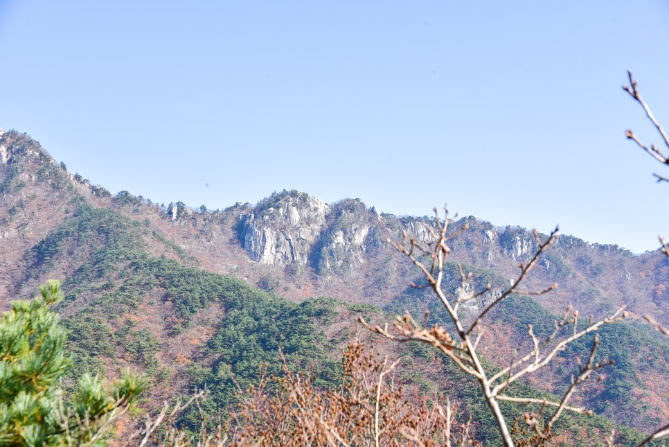 대구 팔공산 케이블카 이용 팔공산 단풍 과 산책로 구경 대구 여행지