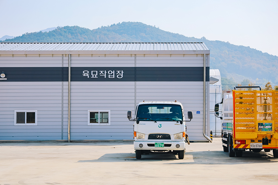 곡성가을여행 석곡 코스모스 백세미 흑돼지 석쇠구이 등