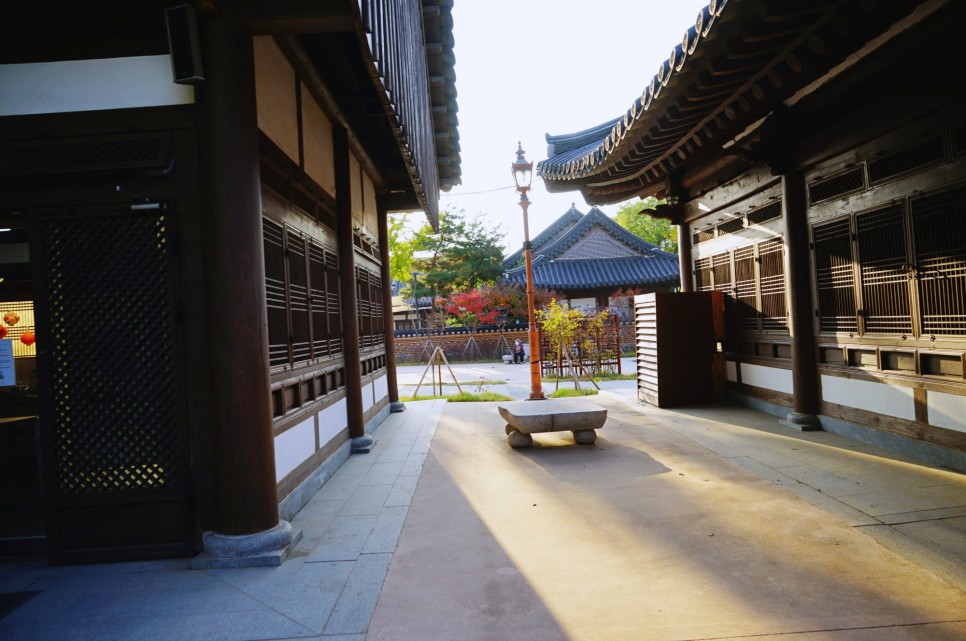 전주 가볼만한곳 전주한옥마을 한복 입고 경기전 전주향교 은행나무 단풍 구경