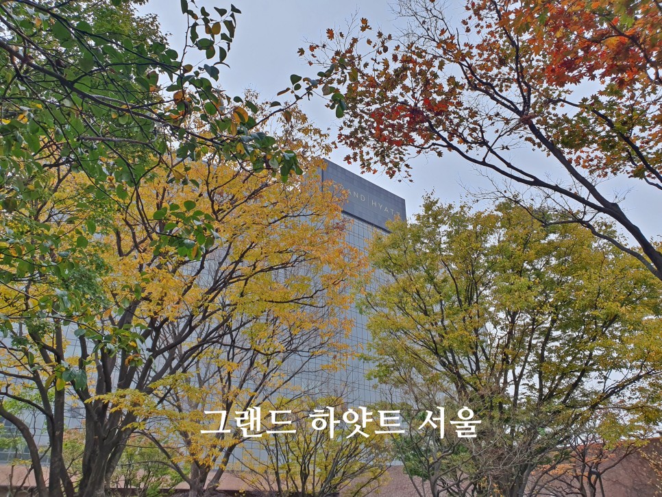 서울 호캉스 추천 그랜드 하얏트 서울 호텔 객실 라운지 조식 후기