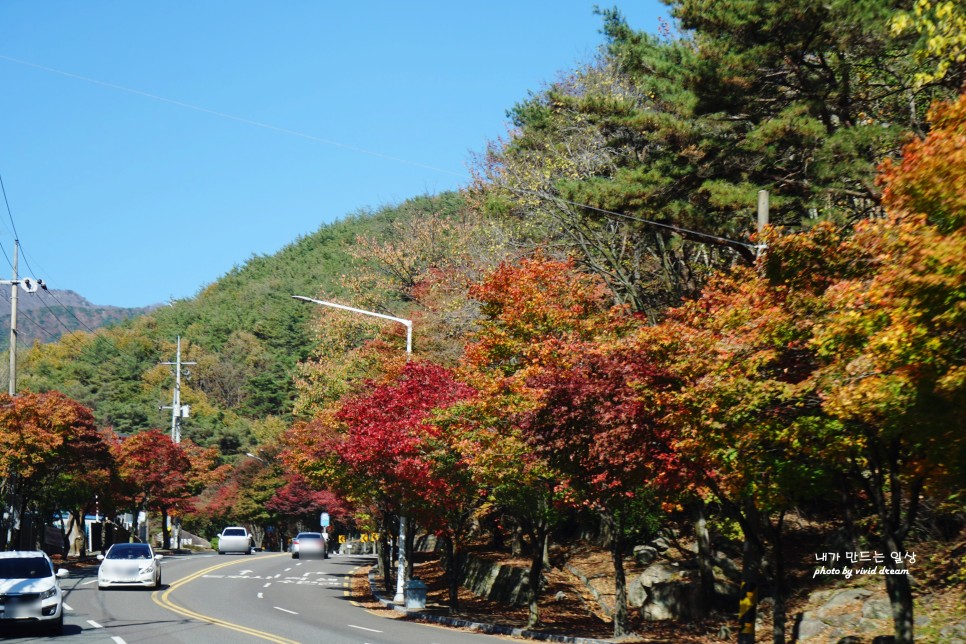 대구단풍 보러 가볼만한곳 팔공산 대구절 동화사 나들이