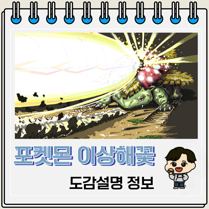포켓몬스터 이상해꽃 도감설명 정보