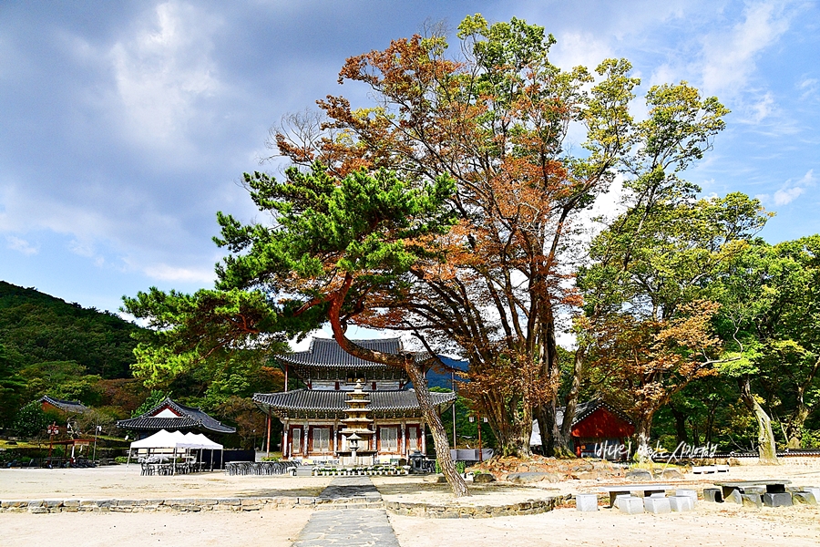 부여 가볼만한곳 부여 무량사 부소산성 궁남지 국립부여박물관