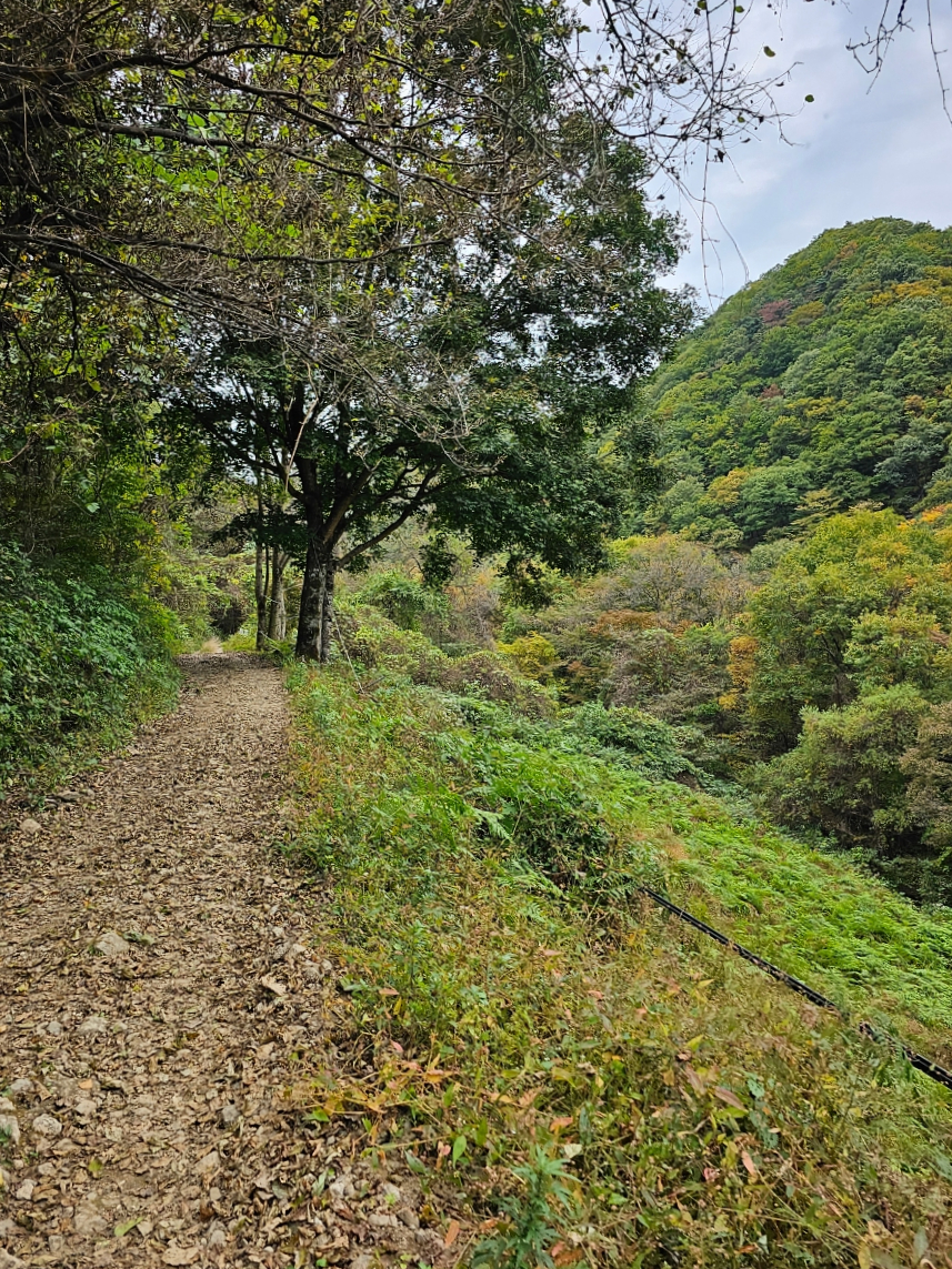 지리산 백무동계곡 탐방지원센터~가내소폭포 가을 초보 등산 코스 3km 걷기 후기(함양)