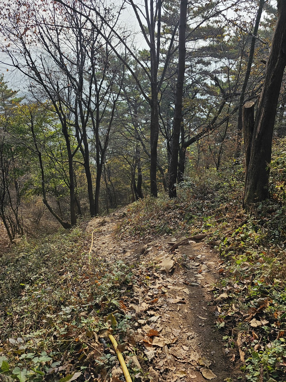 민둥산 최단 등산 가을 산행 3km 걷기 후기 초보 등산 코스 추천