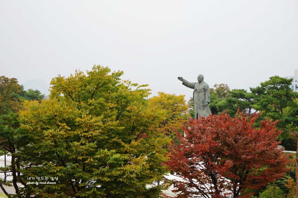 10월 서울 가볼만한곳  단풍명소 남산공원 백범광장