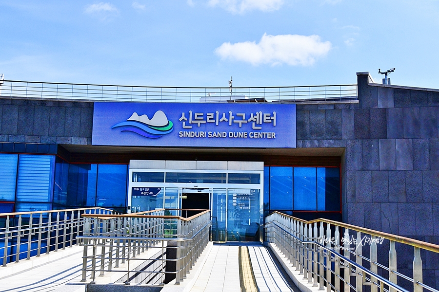 태안 아이와 가볼만한곳 신두리해수욕장 해안사구 몽산포해수욕장 오토캠핑장