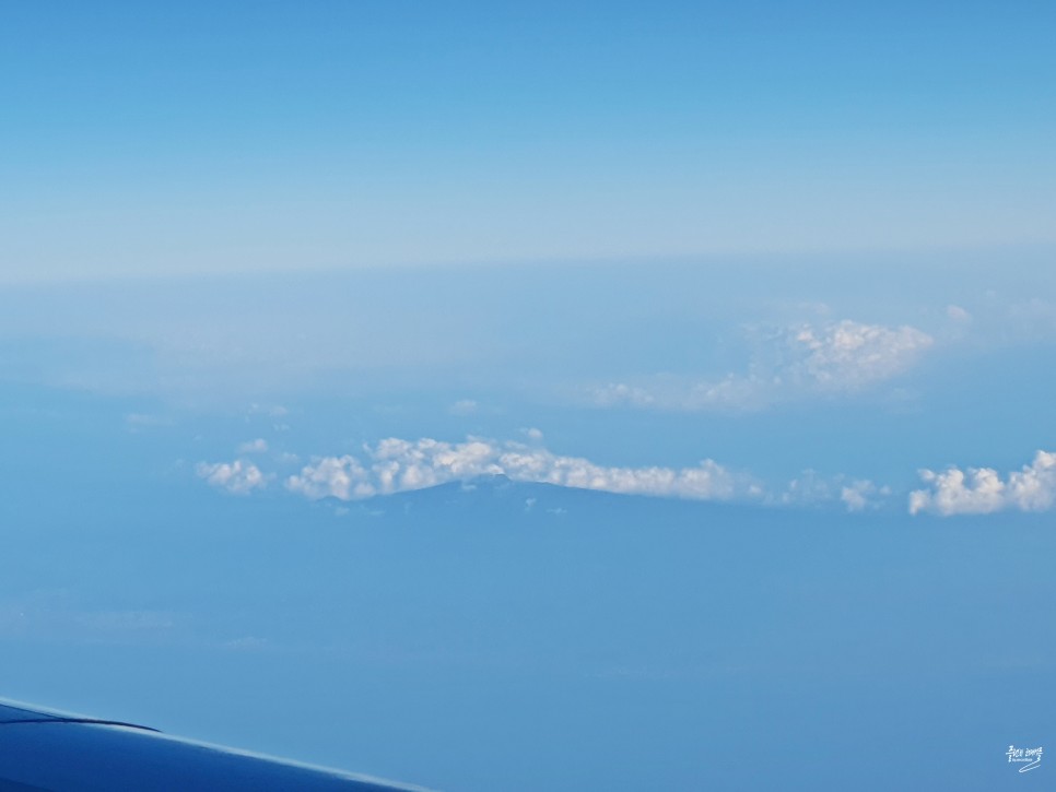 중국 상하이 항공권 상해 여행 대한항공 기내식 탑승후기