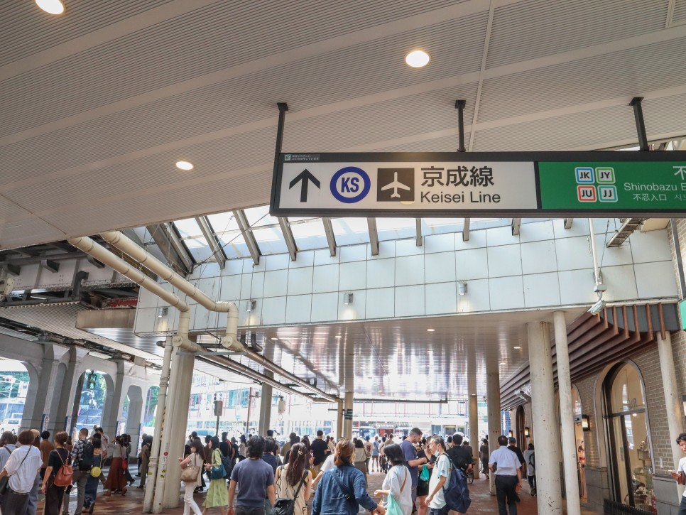 일본 입국심사 pcr검사 도쿄 교통패스 지하철 + 나리타공항 3터미널에서 시부야, 긴자에서 나리타공항 스카이라이너