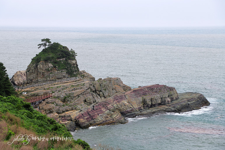 거제 가볼만한곳 거제도 갈만한곳 볼거리 거제 신선대 바다