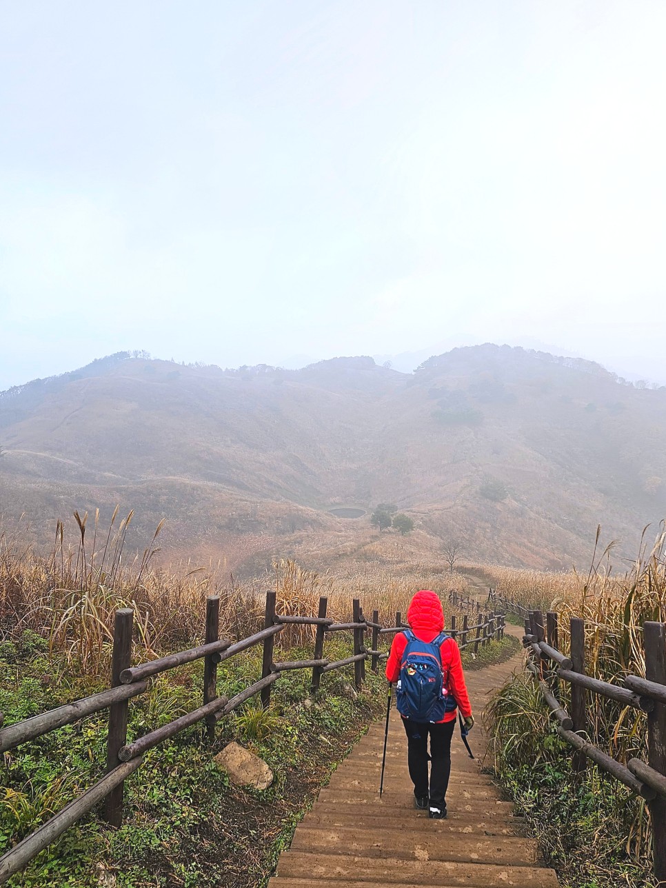 민둥산 최단 등산 가을 산행 3km 걷기 후기 초보 등산 코스 추천