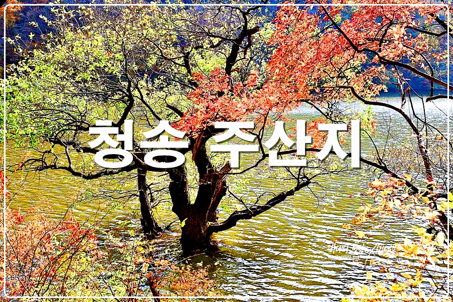 경북 가볼만한곳 청송 주산지 가을 단풍명소 여행