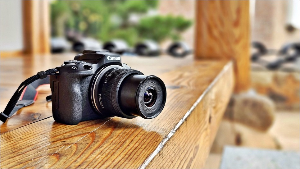 전국 여행지 추천 동반자 브이로그 카메라 캐논 EOS R50