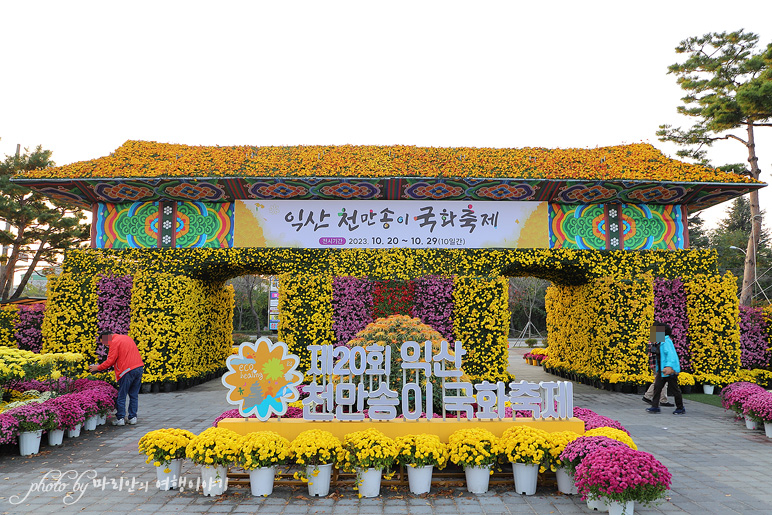 2023 익산 천만송이 국화축제 가을꽃축제 익산 볼거리 놀거리