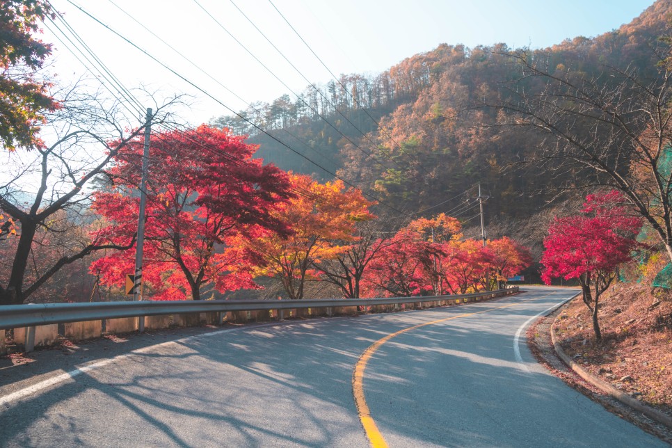 충북 여행, 가을바람 만끽하며 드라이브 떠나기 좋은 단양 여행 :: 구인사, 보발재, 온달드라마세트장, 온달산성, 단양 드라이브, 단양 단풍 명소, 보발재 단풍, 구인사 단풍