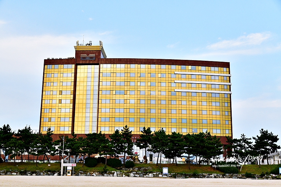 대천 쏠레르 호텔 조식 포함 보령 대천 해수욕장 숙소
