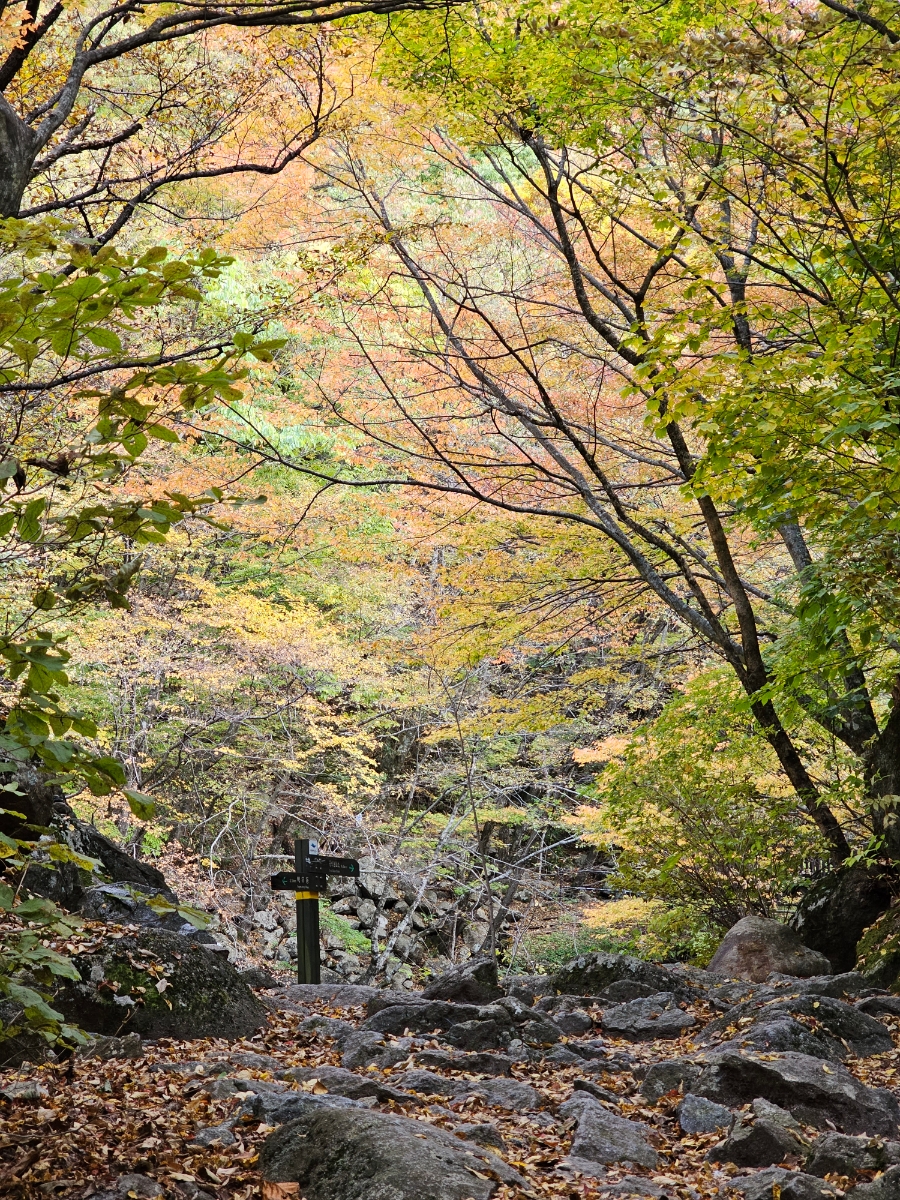 지리산 백무동계곡 탐방지원센터~가내소폭포 가을 초보 등산 코스 3km 걷기 후기(함양)