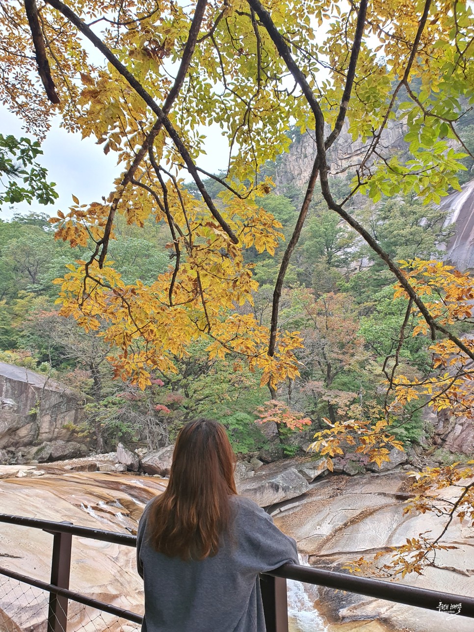 실시간 설악산 단풍 권금성 케이블카 비선대