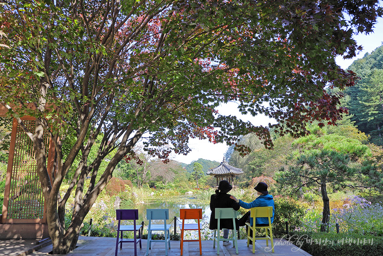 가평 아침고요수목원 서울근교 나들이 경기도 꽃구경