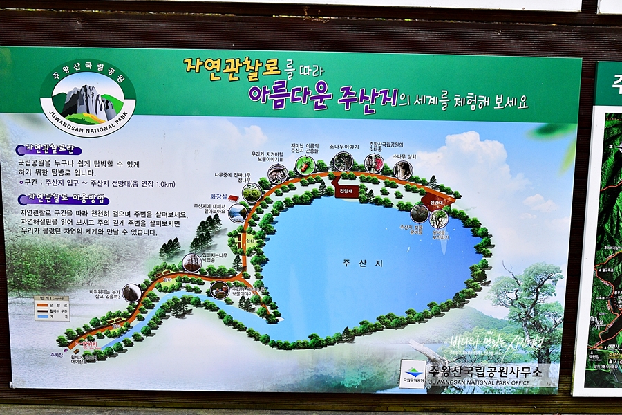 경북 가볼만한곳 청송 주산지 가을 단풍명소 여행