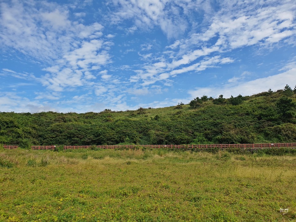 제주도 서쪽 가볼만한곳 산방산 보문사 제주 서부여행 코스