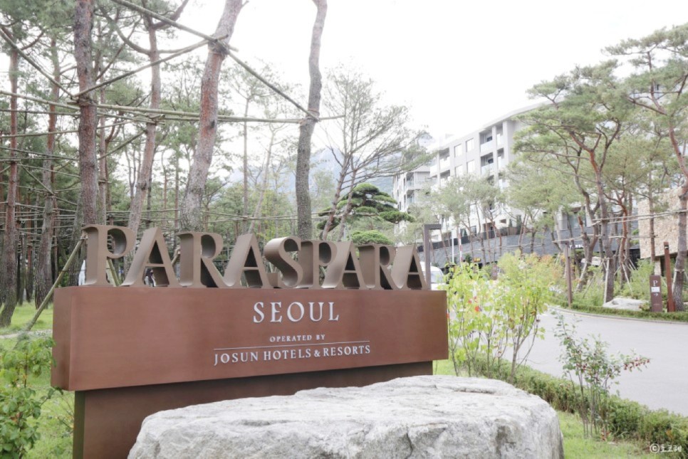파라스파라 서울 호텔 겨울에는 실내 수영장 호캉스 즐기기