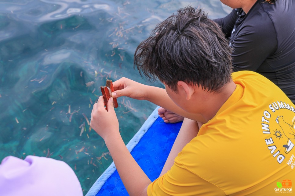 세부 투어 필리핀섬 날루수안 힐루뚱안 스노쿨링 겨울 해외여행