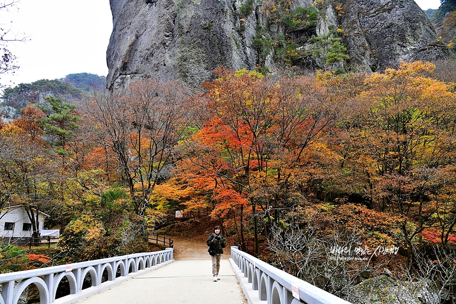 단풍 명소 청송 주왕산국립공원 용추폭포 용연폭포 등산코스