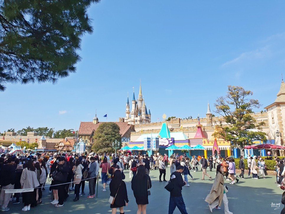 일본 도쿄 디즈니랜드 입장권 티켓 예약 놀이기구 프리미어 액세스 스플래쉬 마운틴 후기