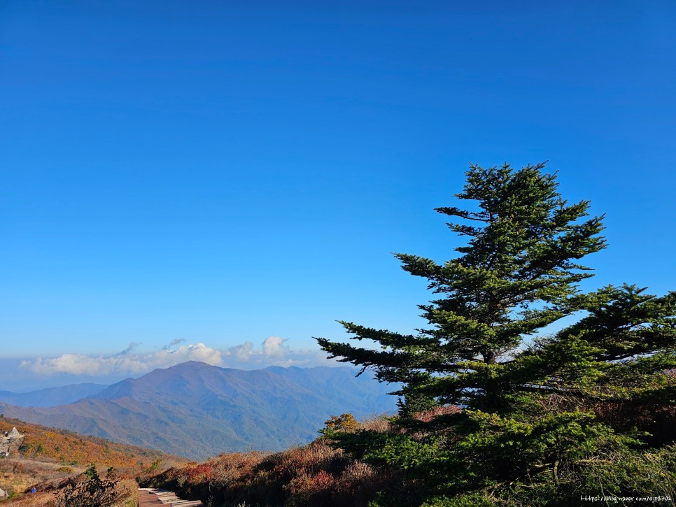 노고단 등산 가을 산행 초보 등산 코스 추천 편도 3km 걷기 후기