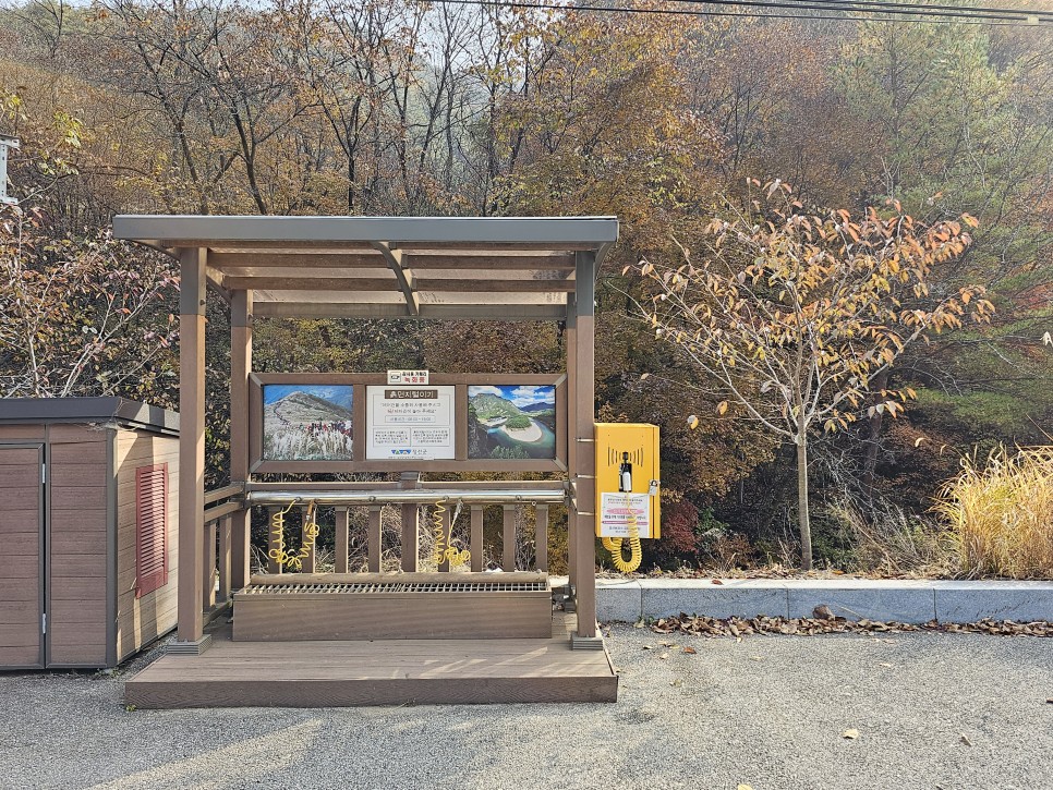 민둥산 최단 등산 가을 산행 3km 걷기 후기 초보 등산 코스 추천