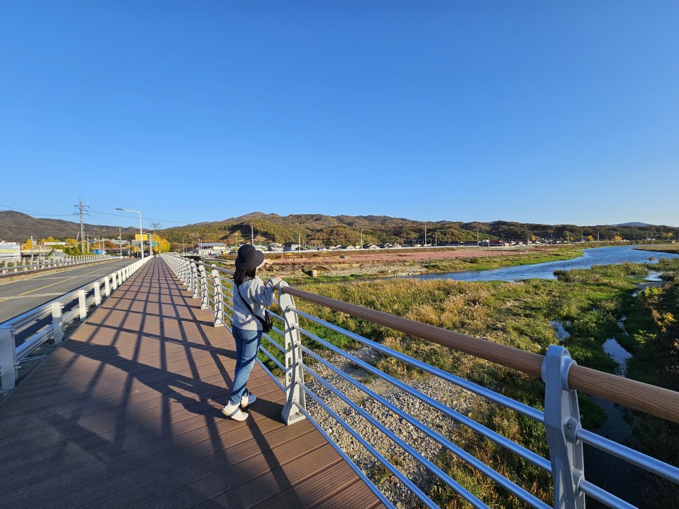 유구 핑크뮬리 공주 데이트 가을 여행 코스 추천