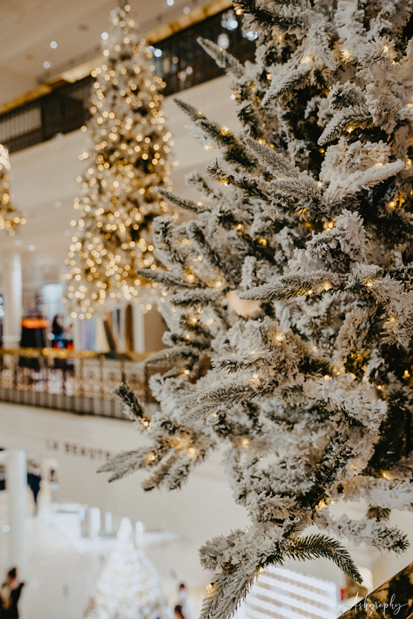 [파리] 12월 라파예트+봉막쉐 화려한 백화점 풍경
