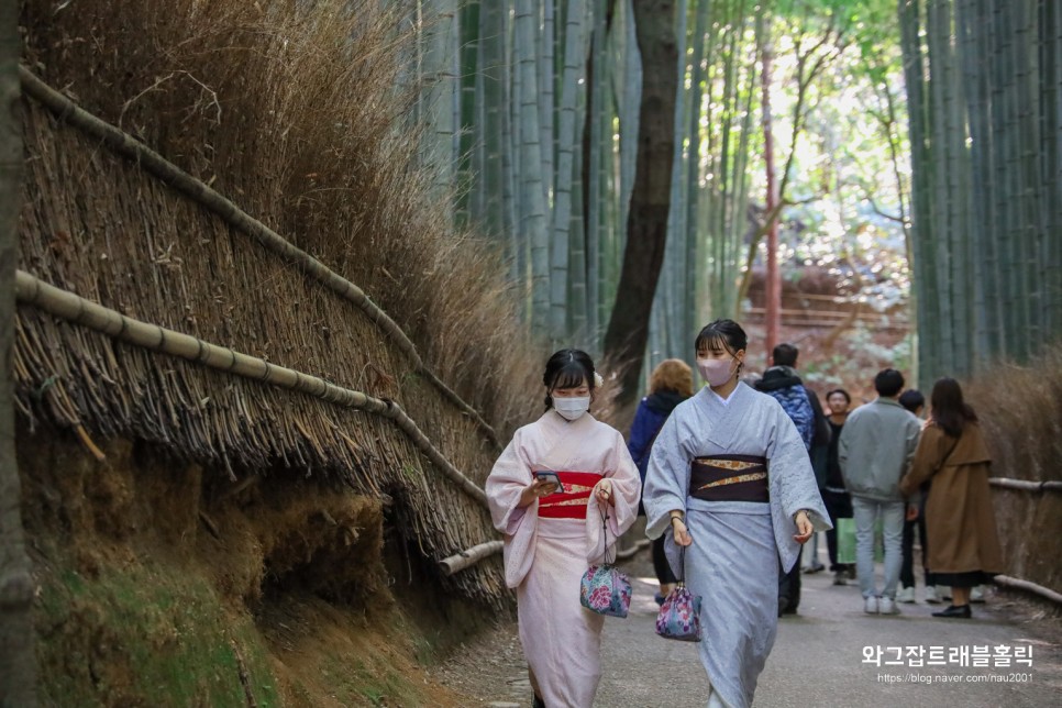오사카 교토여행 3박4일 2023년 일본 단풍시기 가볼만한 곳