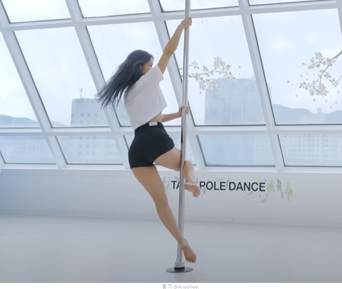 폴댄스 효과 여자 다이어트 운동 전신운동 폴댄스봉 봉춤 의상 팁