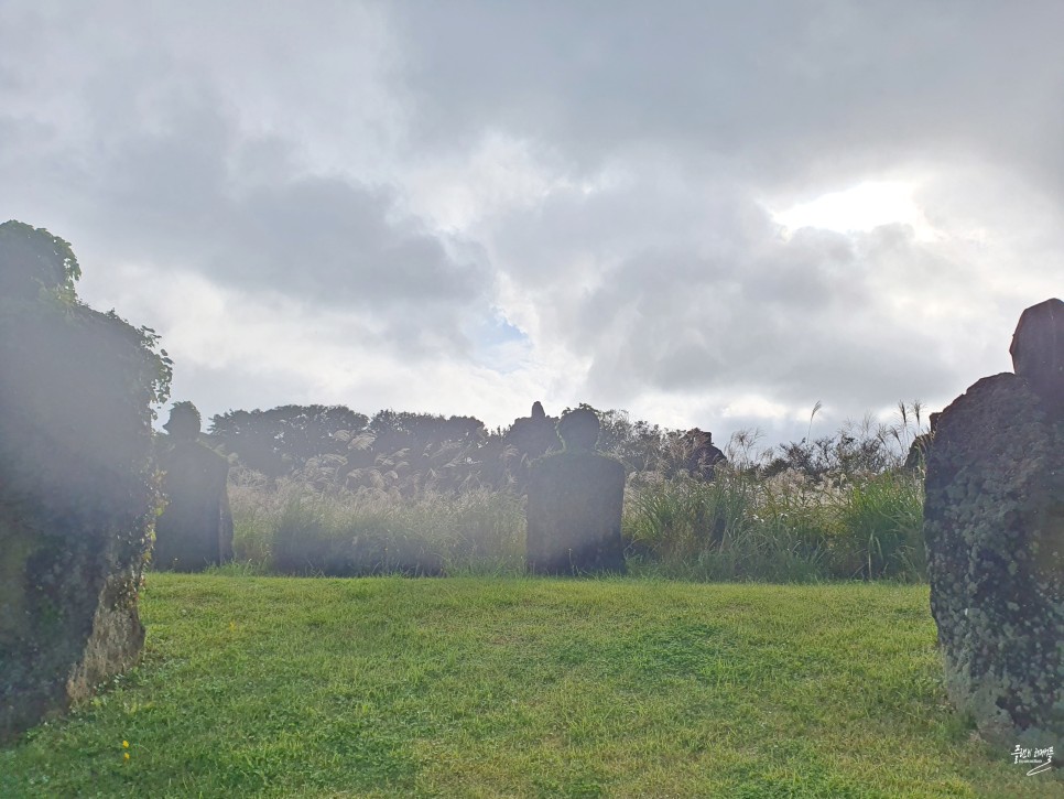 제주 가을여행 가볼만한곳 조천 제주 돌문화공원 하늘연못 코스모스 억새