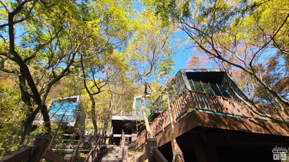 만인산 자연휴양림 숲속의 집 트리하우스 준공