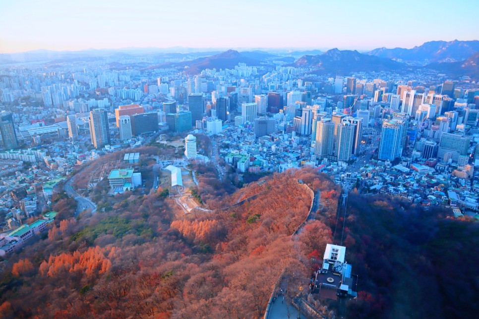 서울 남산 둘레길 코스 단풍 구경 남산 케이블카 남산타워 전망대
