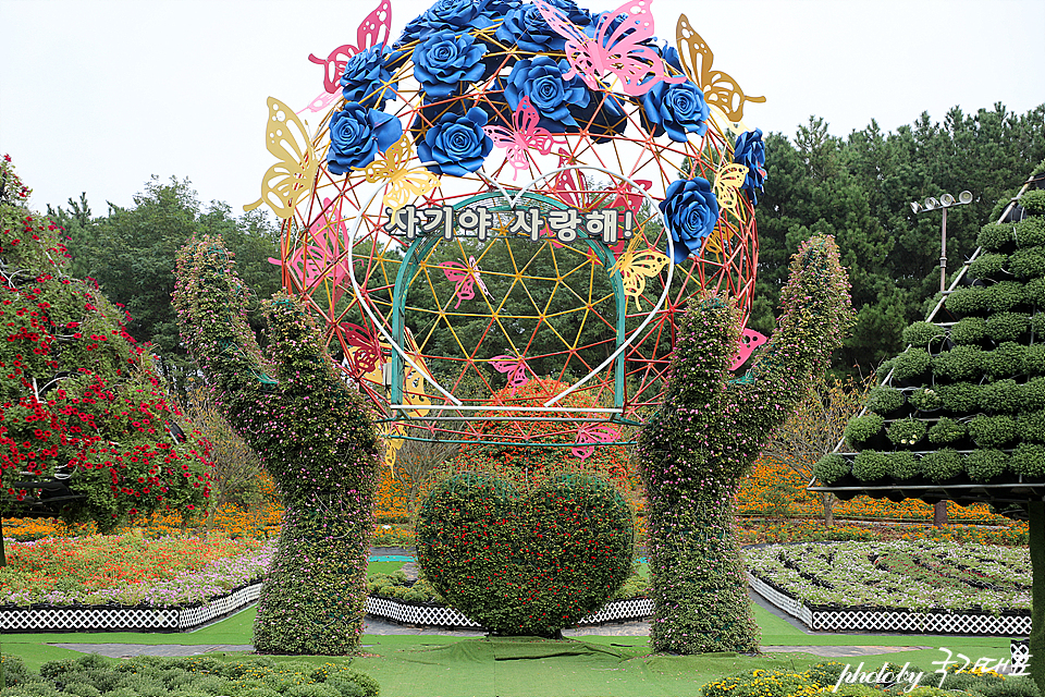 태안 가을꽃축제 안면도 여행 꽃박람회 코리아플라워파크