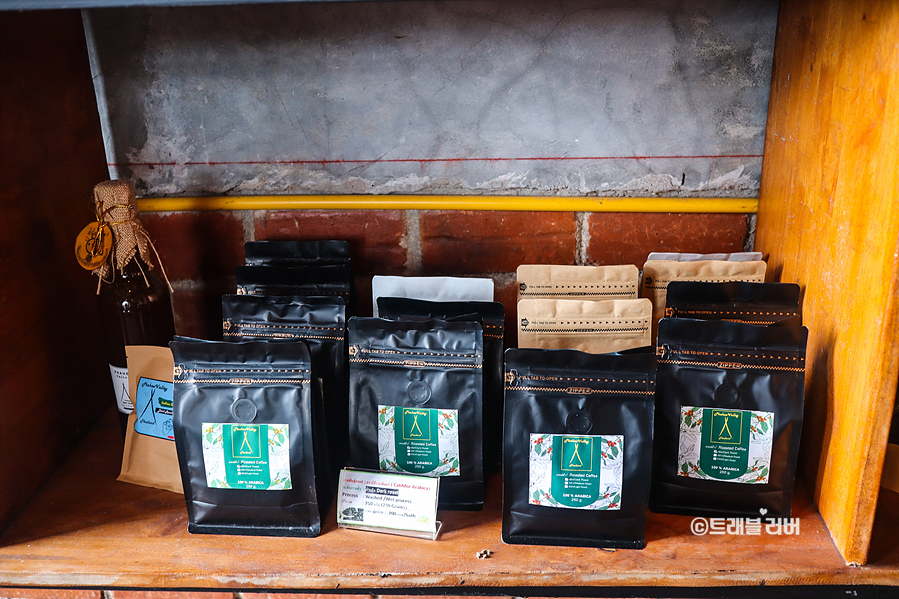 11월 동남아 여행지 태국 치앙라이 파히마을 소수민족의 커피