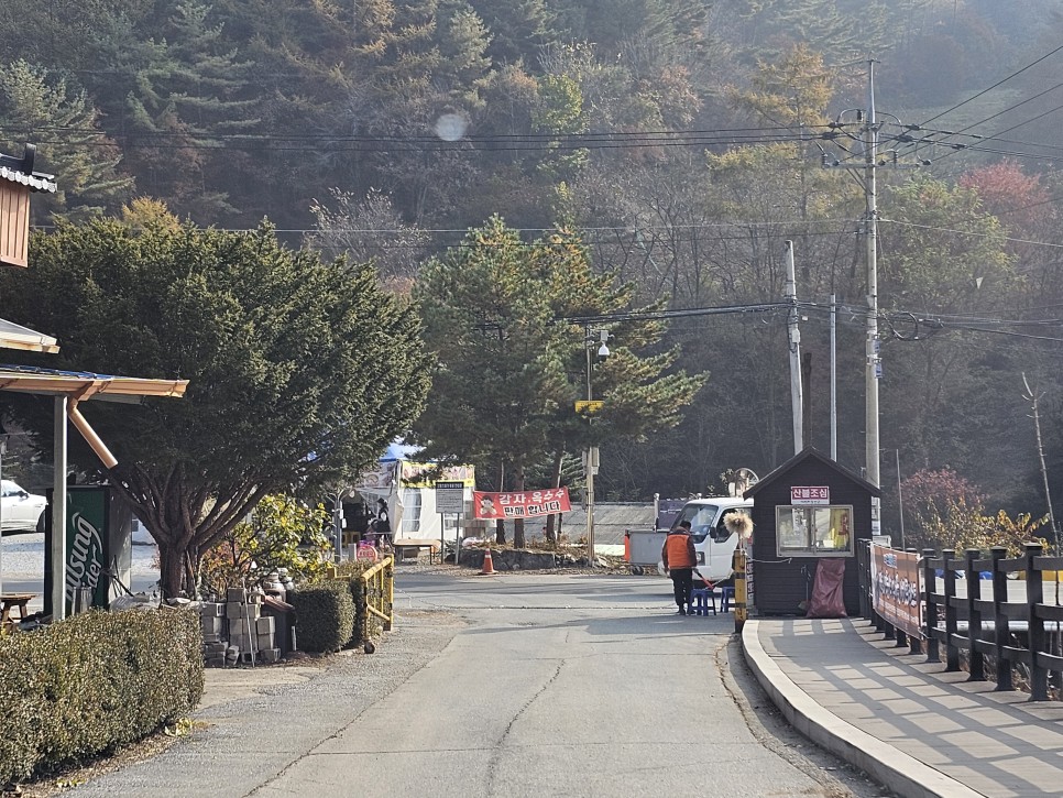 민둥산 최단 등산 가을 산행 3km 걷기 후기 초보 등산 코스 추천