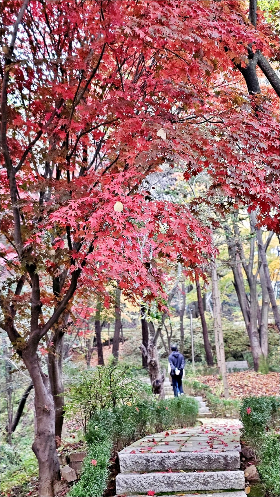 경기 광주 가볼만한곳 남한산성 순교성지 단풍으로 물든 가을 소경!