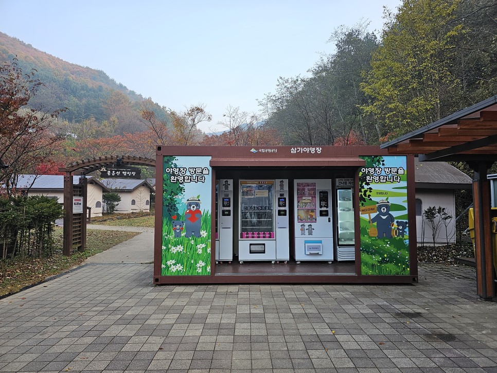 단풍 CAMPING 국립공원 캠핑장 소백산 삼가야영장