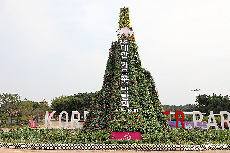 태안 가을꽃축제 안면도 여행 꽃박람회 코리아플라워파크