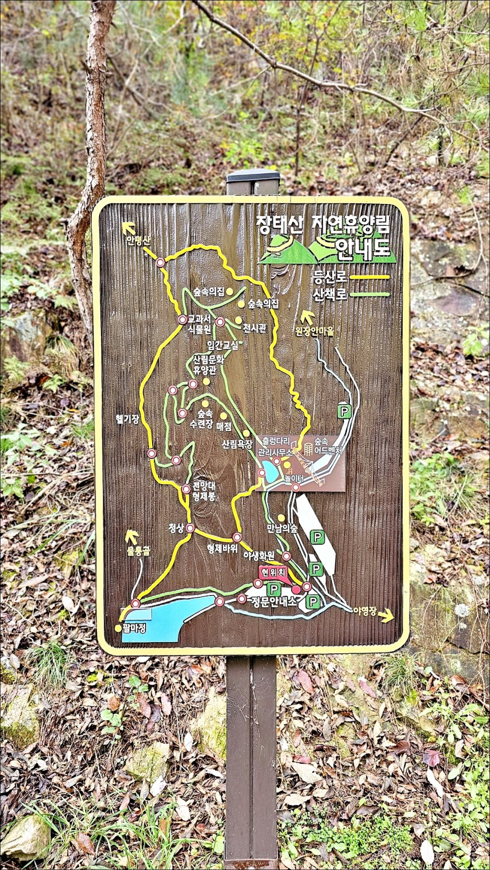 가을여행 추천 대전 명소 장태산 자연휴양림 당일치기 대전 등산 코스!