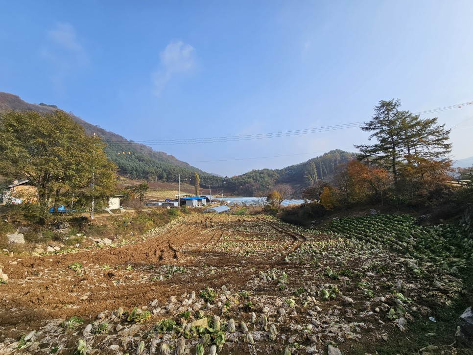 민둥산 최단 등산 가을 산행 3km 걷기 후기 초보 등산 코스 추천