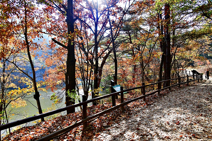 경북 가볼만한곳 청송 주산지 가을 단풍명소 여행